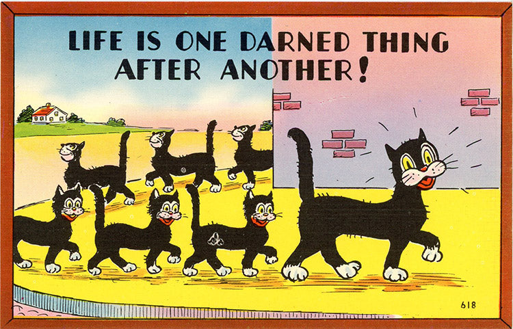 Black Cats & Kittens Vintage Comic Postcard (unused) - Vintage Postcard Boutique