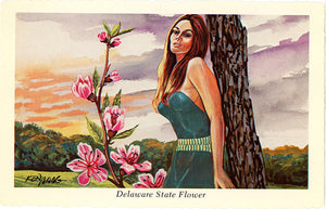 Delaware State Flower - Peach Blossom Botanical Postcard Signed Artist Ken Haag (unused) - Vintage Postcard Boutique