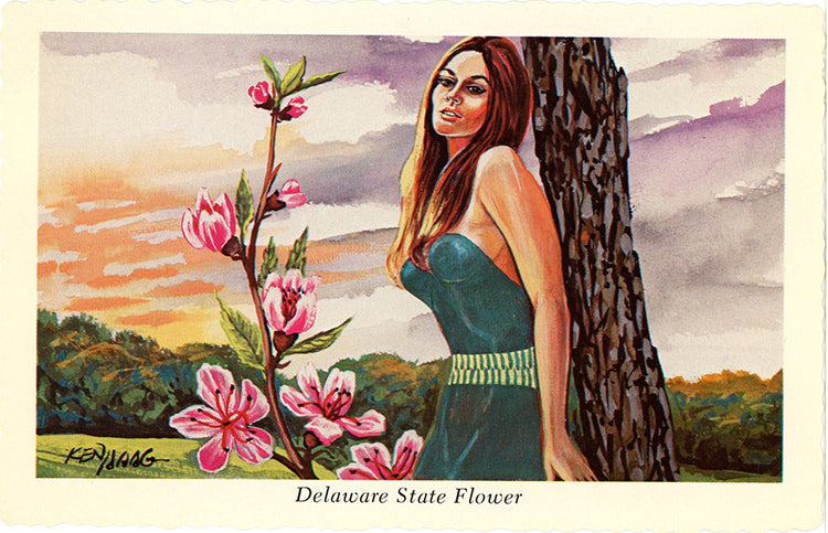 Delaware State Flower - Peach Blossom Botanical Postcard Signed Artist Ken Haag (unused)