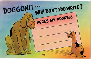 Dogs Why Don't You Write Vintage Comic Postcard (unused) - Vintage Postcard Boutique