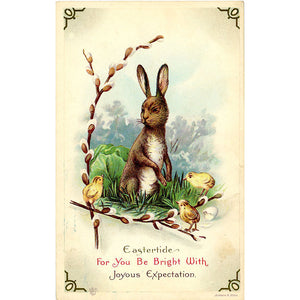 Eastertide Bunny and Chicks Vintage Postcard Embossed circa 1910 - Vintage Postcard Boutique