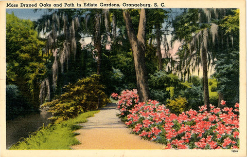 Orangeburg South Carolina Edisto Gardens Moss Draped Oaks Vintage Postcard (unused) - Vintage Postcard Boutique