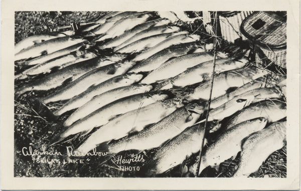 Alaskan Rainbow Trout Skilak Lake Alaska RPPC Vintage Postcard 1950 Signed HEWITTS - Vintage Postcard Boutique