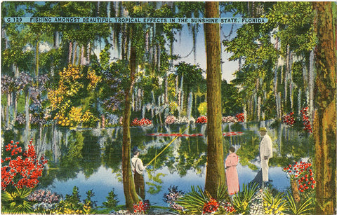 Fishing Amongst Tropical Plants in Sunshine State Florida Vintage Postcard (unused) - Vintage Postcard Boutique
