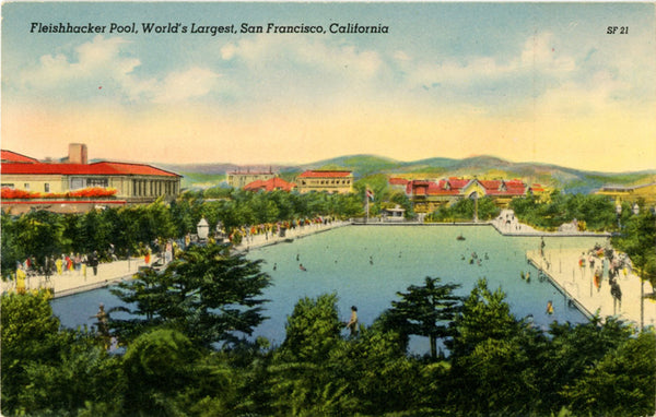 San Francisco California Fleishhacker Swimming Pool Vintage Postcard (unused) - Vintage Postcard Boutique