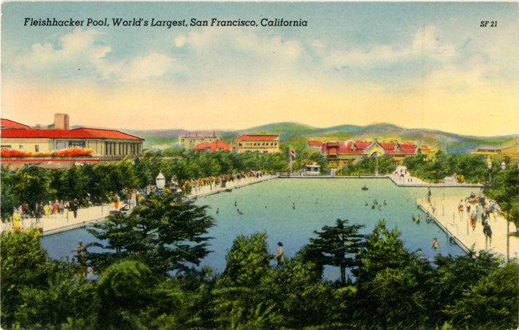 San Francisco California Fleishhacker Swimming Pool Vintage Postcard (unused) - Vintage Postcard Boutique