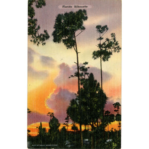 Florida Sunset Palm Trees Silhouette Vintage Postcard (unused) - Vintage Postcard Boutique