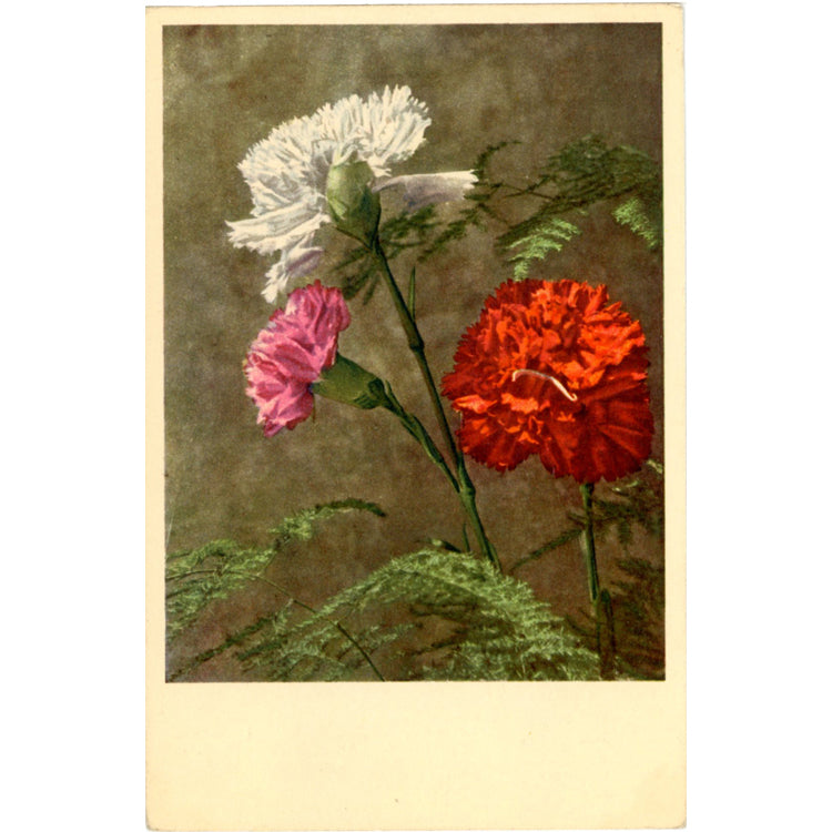 Garden Pink Dianthus Vintage Flower Postcard - Botanical Art for Framing