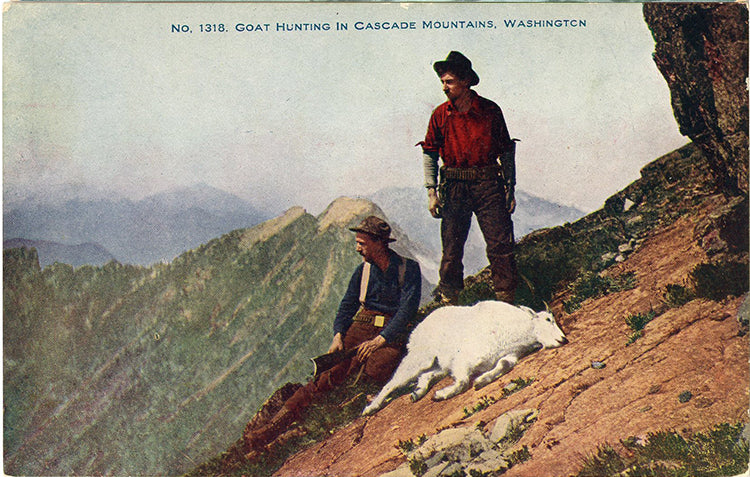 Goat Hunting Cascade Mountains Washington Vintage Postcard circa 1910 (unused)