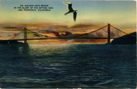 San Francisco Bay Bridge Golden Gate Bridge at Sunset with Seagull California Vintage Postcard - Vintage Postcard Boutique