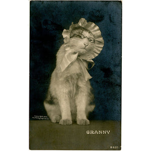 Dressed Cat in Bonnet 'Granny' Rotograph RPPC Vintage Postcard 1905 - Vintage Postcard Boutique