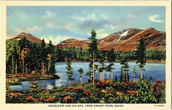 Doubletop and Oji Mts. Maine from Grassy Pond Vintage Postcard (unused) - Vintage Postcard Boutique
