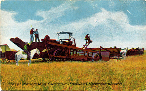 California Ranching Combined Harvester Vintage Postcard circa 1910 (unused) - Vintage Postcard Boutique
