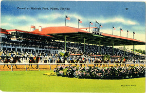 Miami Florida Hialeah Park Crowds Horse Racing Vintage Postcard (unused) - Vintage Postcard Boutique