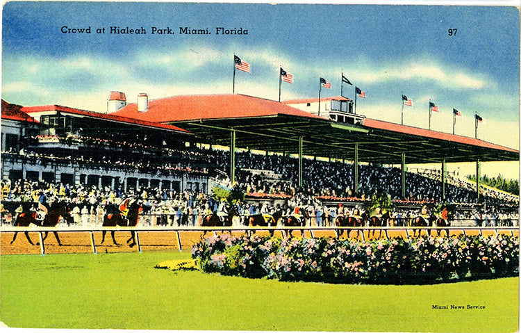 Miami Florida Hialeah Park Crowds Horse Racing Vintage Postcard (unused)