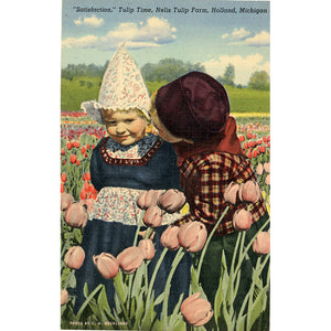Holland Michigan Nelis Tulip Farm Vintage Postcard (unused)