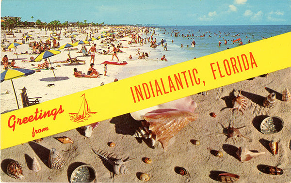 Indialantic Florida Beach & Sea Shells Vintage Postcard 1965 (unused) - Vintage Postcard Boutique