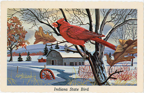 Indiana State Bird - Cardinal Redbird Vintage Postcard Signed Artist Ken Haag (unused) - Vintage Postcard Boutique