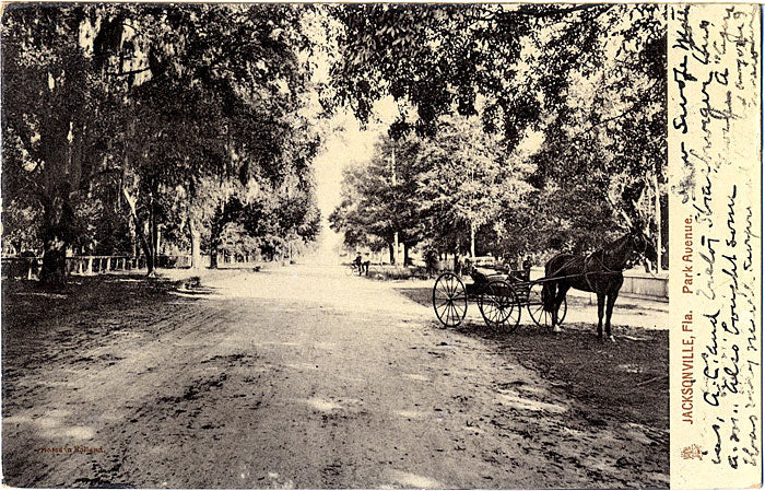 Jacksonville Florida Horse & Buggy on Park Avenue Real Photo Vintage Postcard 1907 - Vintage Postcard Boutique