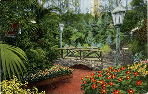 St. Louis Missouri Forest Park Jewel Box Poinsettias & Stevia Plants Vintage Postcard 1944