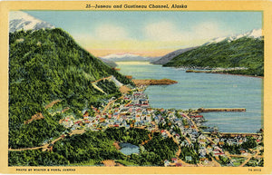 Juneau and Gastineau Channel Alaska Vintage Postcard (unused) - Vintage Postcard Boutique