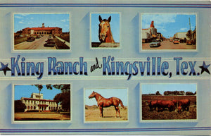 King Ranch Kingsville Texas Quarter Horses Santa Gertrudis Cattle Vintage Postcard (unused) - Vintage Postcard Boutique