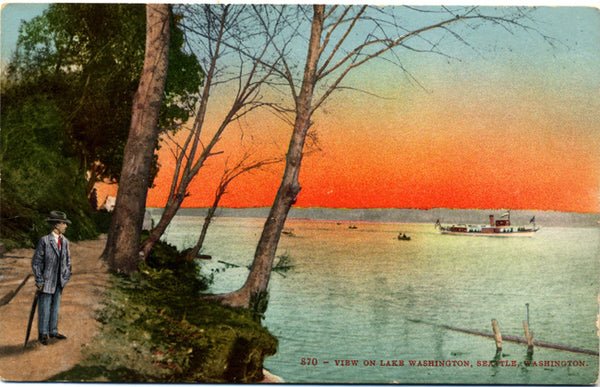 Seattle Lake Washington Man Watching Sunset Vintage Postcard (unused) - Vintage Postcard Boutique