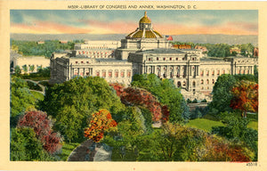 Washington D.C. Library of Congress & Annex Vintage Postcard (unused) - Vintage Postcard Boutique