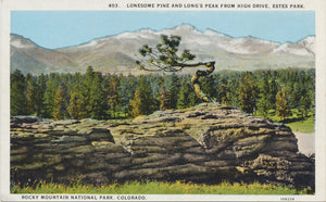 Estes Park Colorado Lonesome Pine Long's Peak Vintage Postcard (unused) - Vintage Postcard Boutique