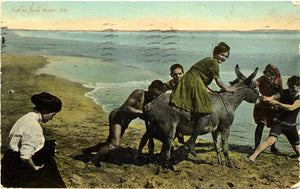Long Beach California Woman Riding Donkey Vintage Postcard 1911 - Vintage Postcard Boutique