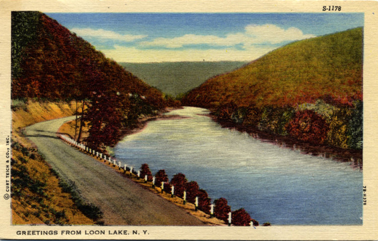 Adirondack Park New York Loon Lake Scenic Vintage Postcard 1953 - Vintage Postcard Boutique