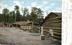 Maine Logging Camp Vintage Postcard 1907 - Vintage Postcard Boutique