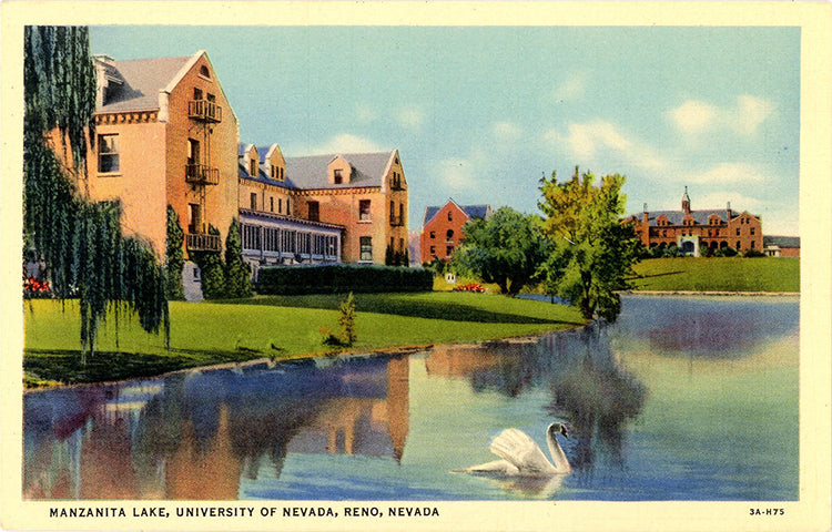 University of Nevada Manzanita Lake Reno Nevada Vintage Postcard (unused) - Vintage Postcard Boutique