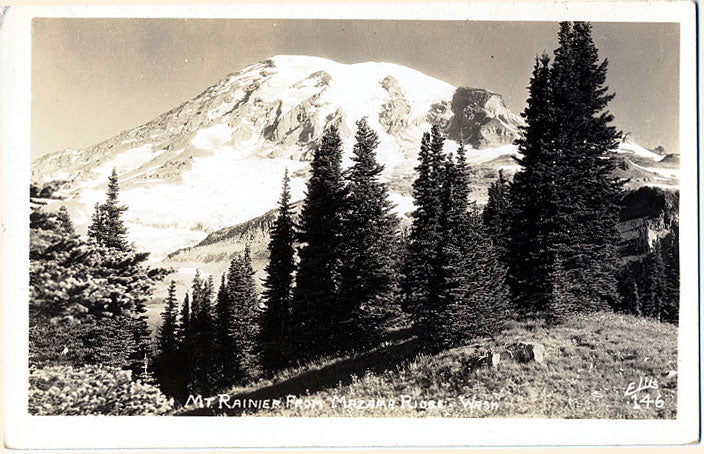 Mt. Rainier Washington from Mazama Ridge RPPC Vintage Postcard (unused) - Vintage Postcard Boutique