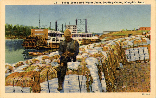 Memphis Tennessee Levee and Water Front Loading Cotton Vintage Postcard (unused) - Vintage Postcard Boutique