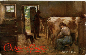 Scottish Milking Time Tuck's Oilette Embossed Christmas Vintage Postcard 1908 - Vintage Postcard Boutique