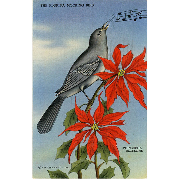 Mocking Bird & Poinsettia Blossoms State of Florida Vintage Postcard 1945 - Vintage Postcard Boutique