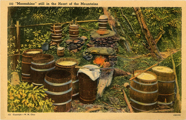 Moonshine in Heart of Tennessee Mountains Vintage Postcard (unused) - Vintage Postcard Boutique