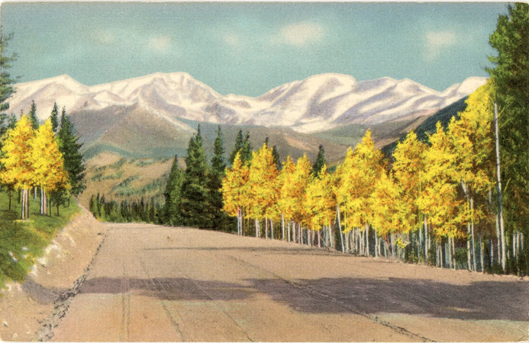 Mummy Range from Trail Ridge Road Hidden Valley Rocky Mountain National Park Colorado Vintage Postcard (unused) - Vintage Postcard Boutique