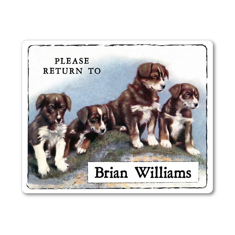 Australian Shepherd Puppies Vintage Personalized Bookplates - Aussies, DOG LOVER GIFT - Vintage Postcard Boutique