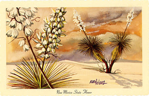 New Mexico State Flower - Yucca Vintage Botanical Postcard Signed Artist Ken Haag (unused) - Vintage Postcard Boutique