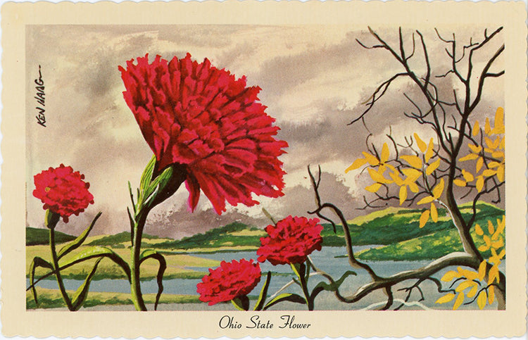 Ohio State Flower - Scarlet Carnation Vintage Botanical Postcard Signed Artist Ken Haag (unused) - Vintage Postcard Boutique