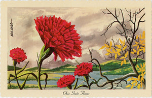 Ohio State Flower - Scarlet Carnation Vintage Botanical Postcard Signed Artist Ken Haag (unused) - Vintage Postcard Boutique