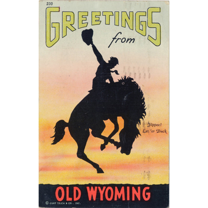Old Wyoming Rodeo Cowboy Vintage Postcard 1946 - Vintage Postcard Boutique