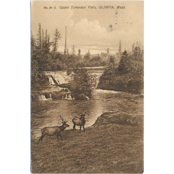 Olympia Washington Upper Tumwater Falls Elk Vintage Postcard 1909 - Vintage Postcard Boutique
