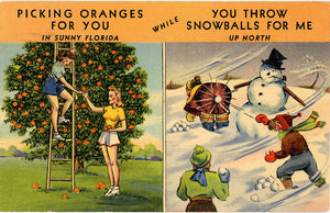 Picking Oranges in Sunny Florida Snowballs in North Vintage Postcard 1948 - Vintage Postcard Boutique