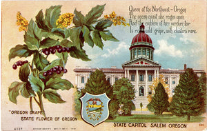 Oregon State Capitol Queen of the Northwest Vintage Postcard circa 1910 (unused) - Vintage Postcard Boutique