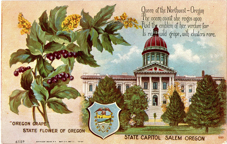 Oregon State Capitol Queen of the Northwest Vintage Postcard circa 1910 (unused)