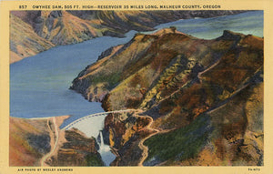 Owyhee Dam & Reservoir Malheur County Oregon Vintage Postcard (unused) - Vintage Postcard Boutique