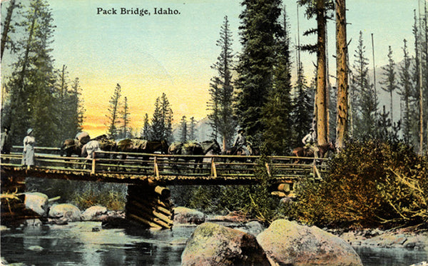 Lake Fork Creek Idaho Pack Bridge Payette Lake Vintage Postcard circa 1910 - Vintage Postcard Boutique